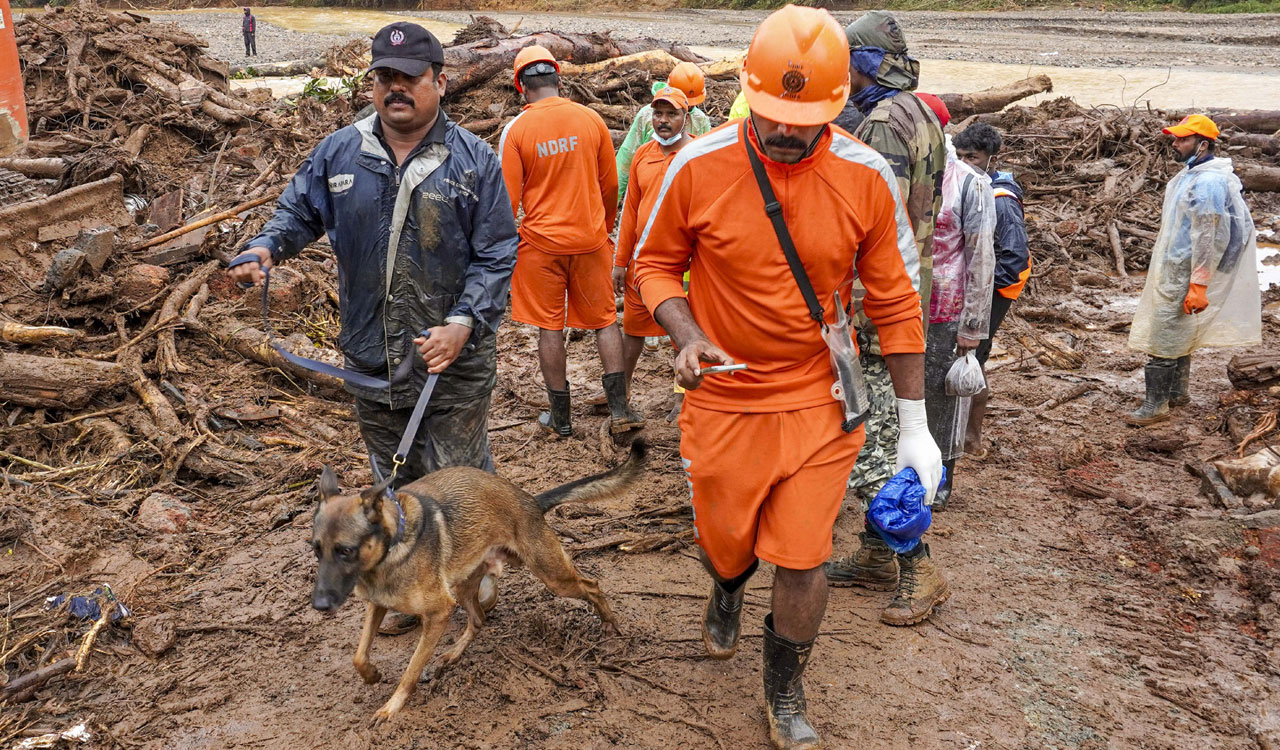 Wayanad: Deep search radars to help locate people trapped beneath debris