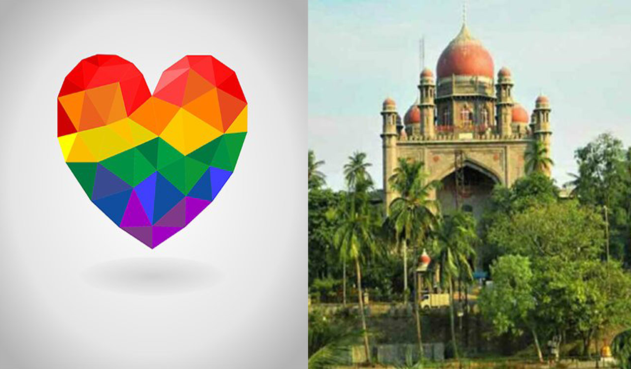 Jaipur woman files Habeas Corpus for ‘same-sex partner’ at Telangana High Court