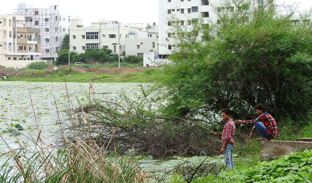 Irrigation tanks in Mancherial face threat of encroachment