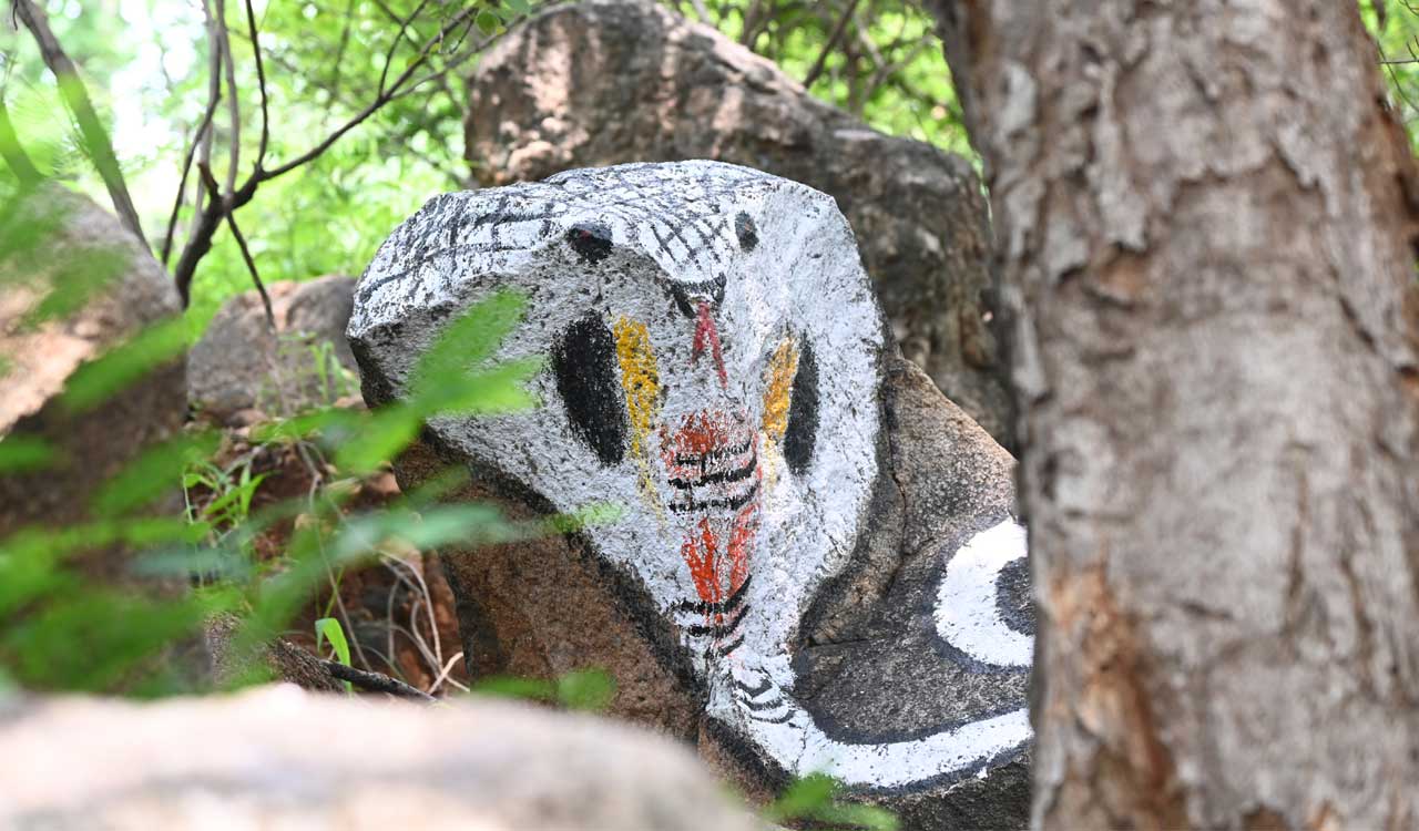 OU employee paints campus rocks, boulders to spread message