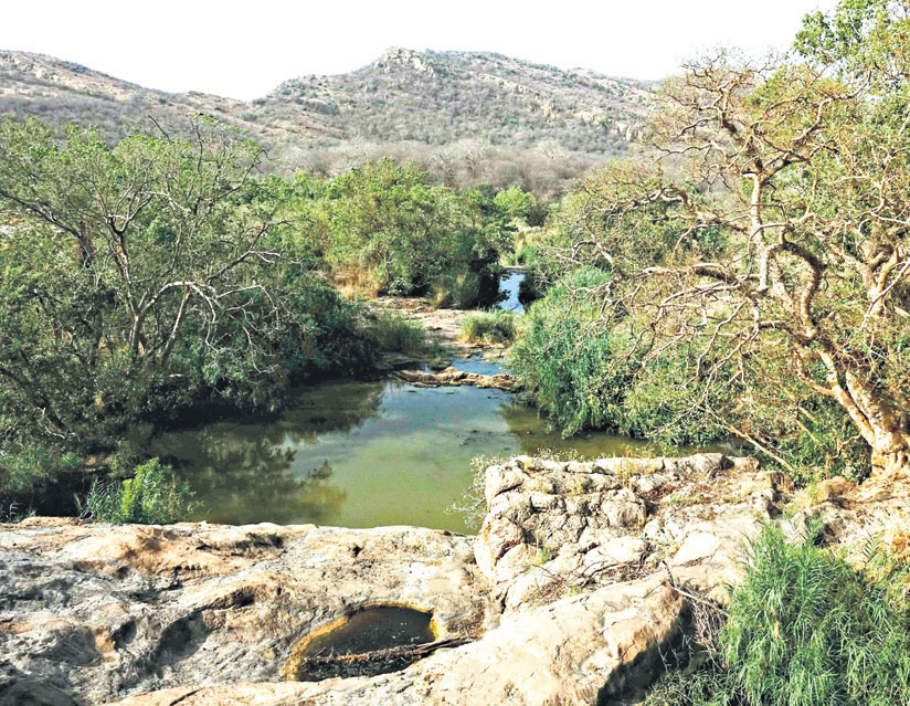 Ranthambore Tiger Reserve