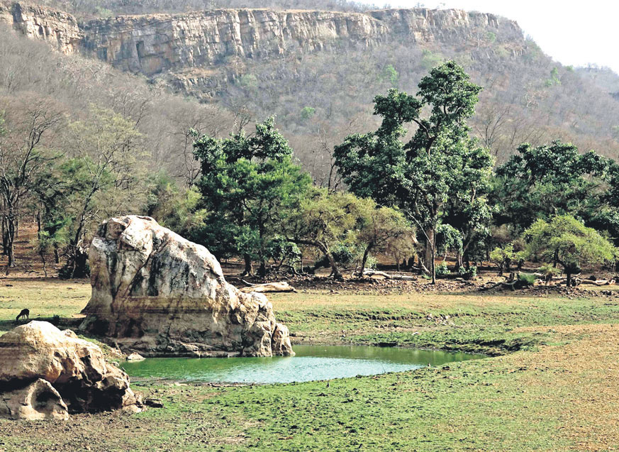 Ranthambore Tiger Reserve