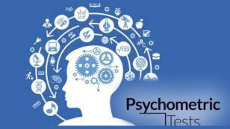 The role of psychometric testing in performance management for organizational success