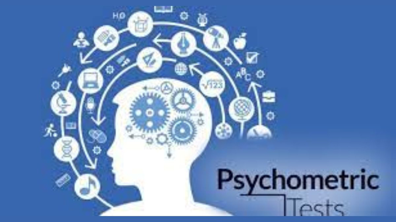 The role of psychometric testing in performance management for organizational success