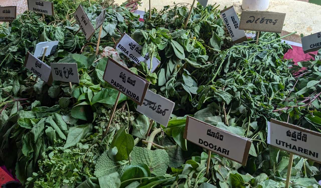 DDS organises food festival to conserve uncultivated leafy vegetables