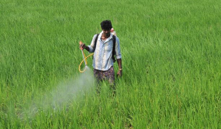 Urea