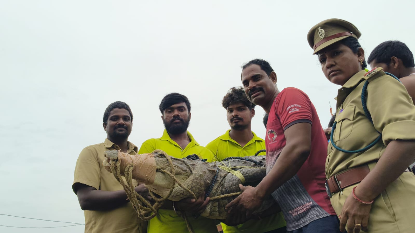 Watch: Crocodile enters house in Wanaparthy’s Janampet