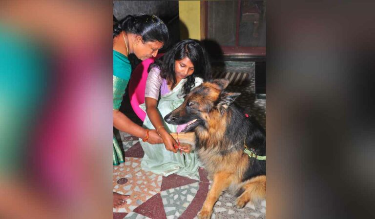 Symbolising the spirit of Raksha Bandhan, she tied a rakhi to their pet dog Rabin, who joined the family two years back.