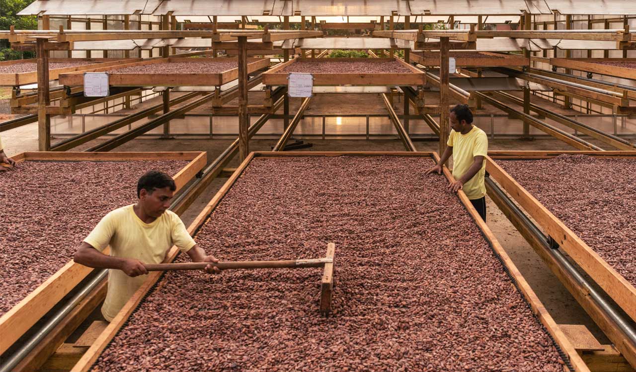 Aim is to promote Indian Cacao, says founder of Hyderabad-based Manam Chocolate