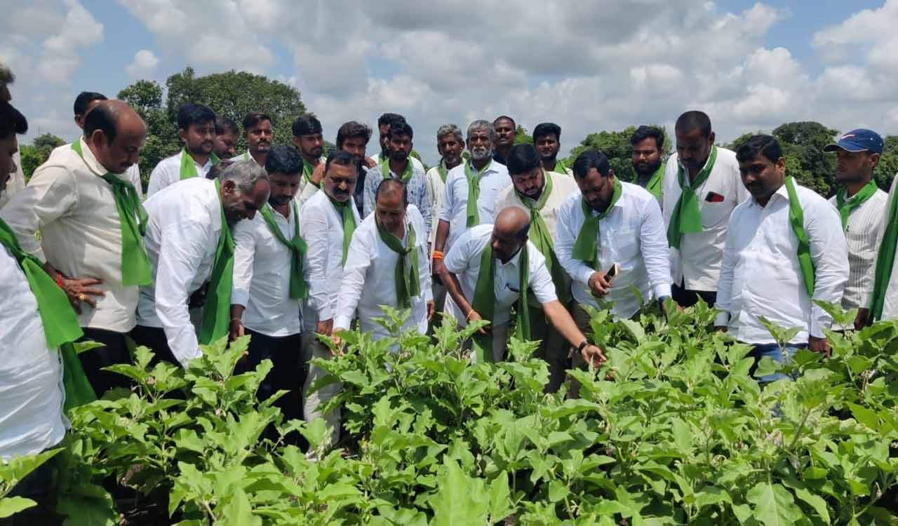 Farmers oppose proposed Pharma hub in Sangareddy