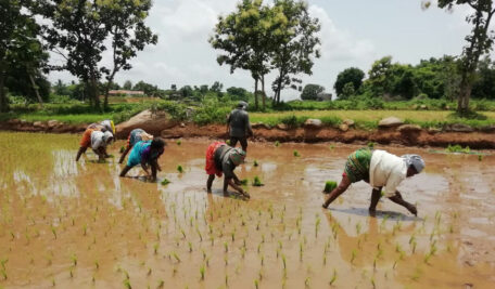 Telangana Farmers