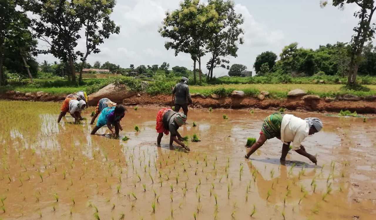 Deccan Mudra: Promoting sustainable eating and supporting Telangana farmers