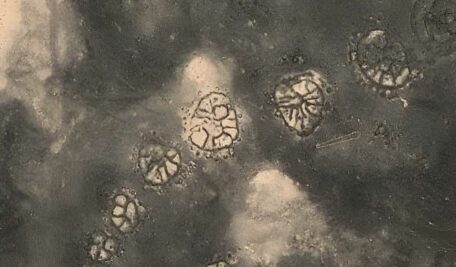 Wheel Structures Revised