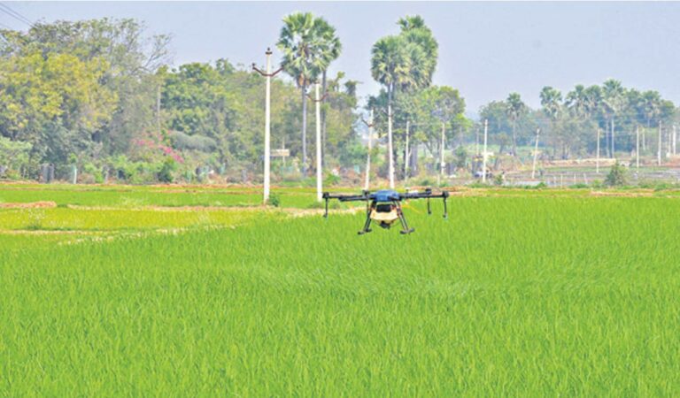 Asifabad Farmers