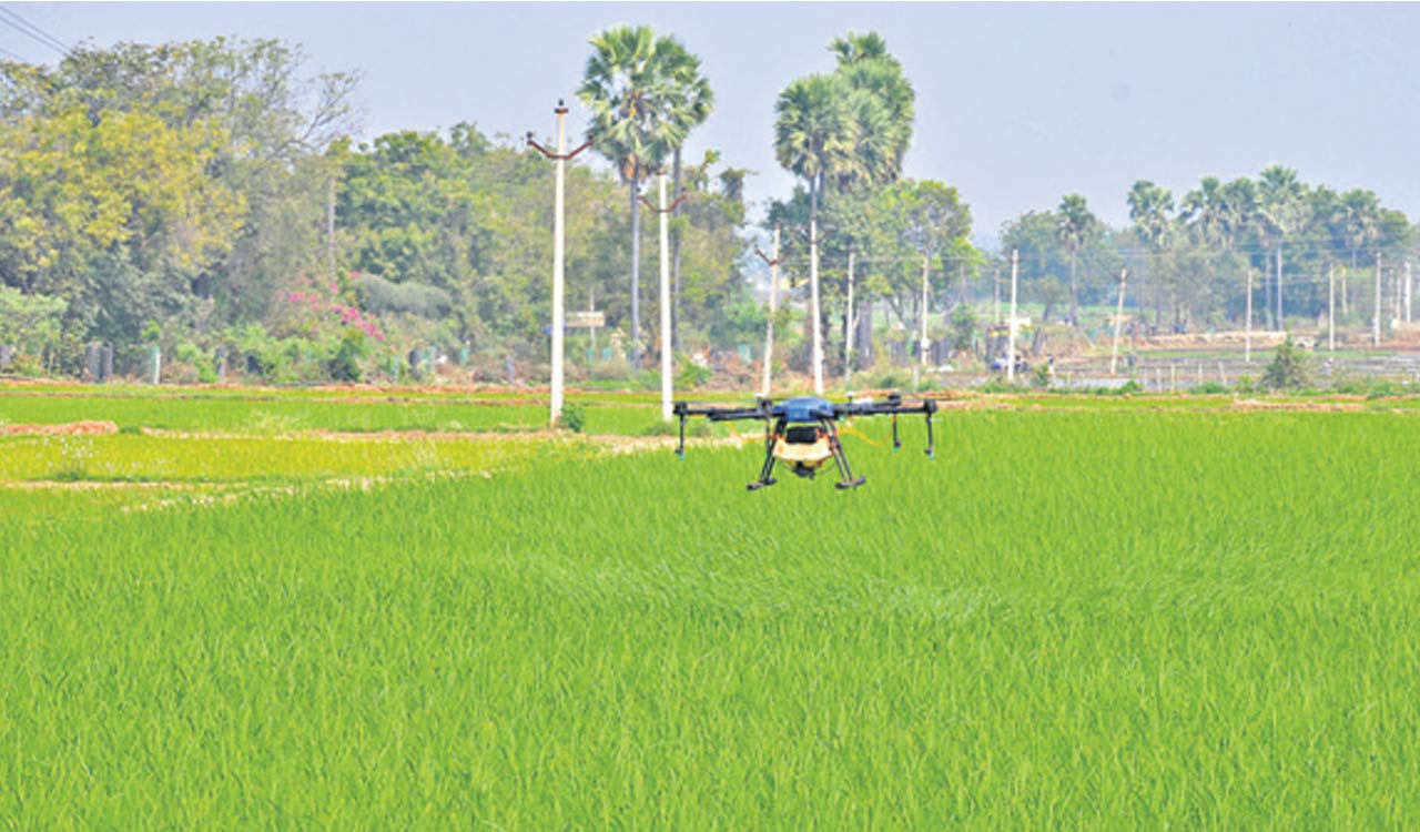 Asifabad farmers heavily dependent on chemicals