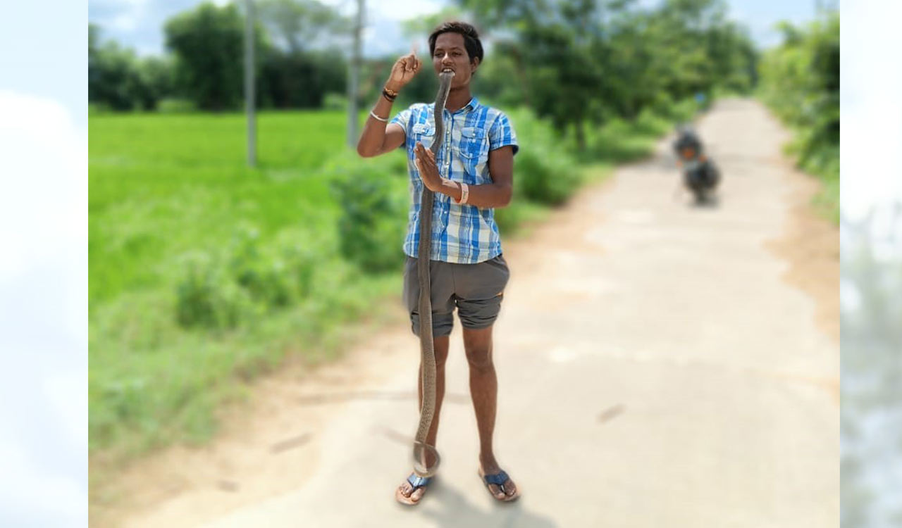 Bravado trumps logic! Telangana youth dies of snake bite while performing stunts with 6-ft cobra