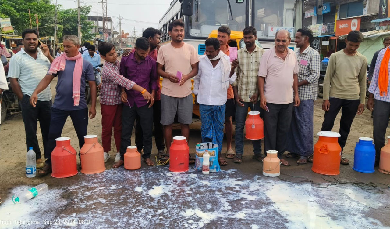 Adilabad: Dairy farmers dump milk on road in protest against delay in clearing bills