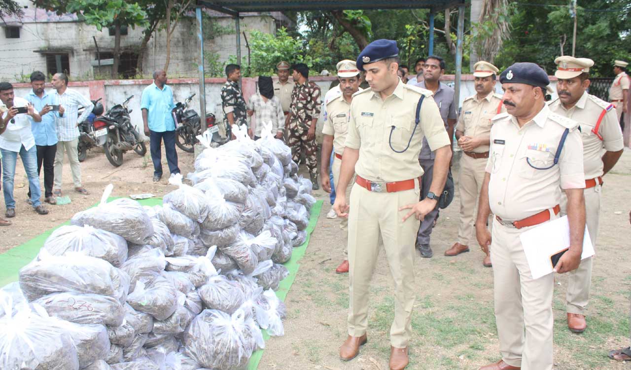 Two held as inter-state ganja smuggling racket busted in Adilabad; 900 kg of ganja seized