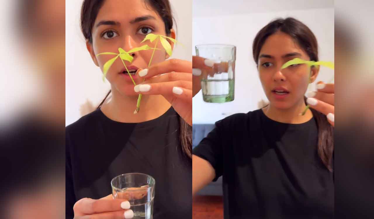 Mrunal Thakur delights fans with hilarious plant propagation video
