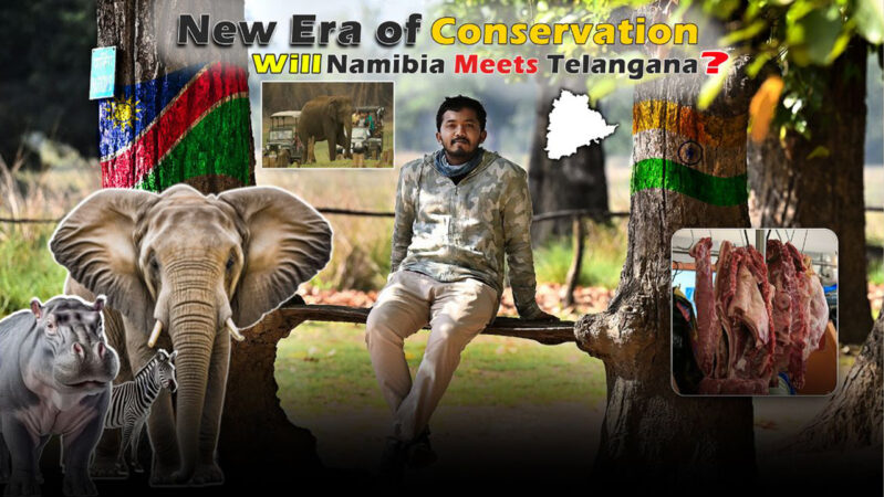 A New Era of Conservation: Namibia’s Crisis and Telangana’s Opportunity