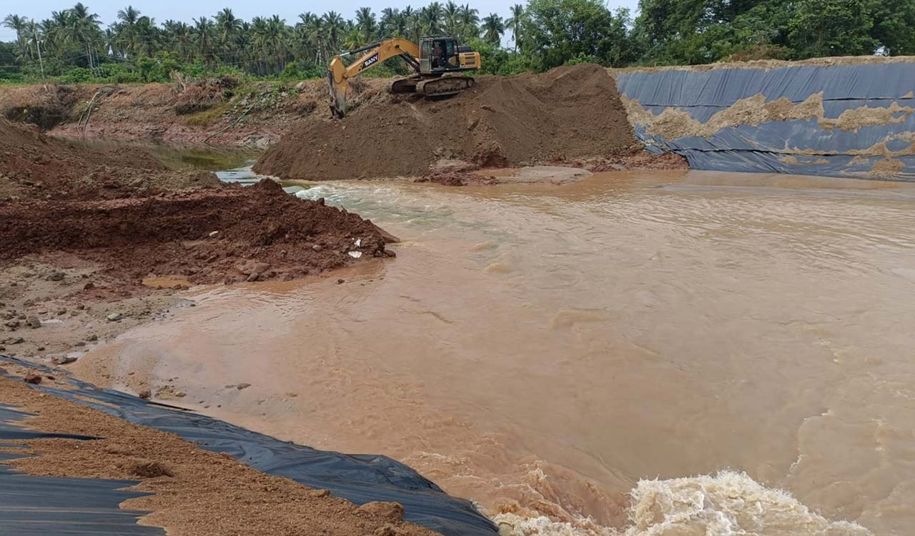 Watch: Farmer’s woes continue with ‘bunga’ in NSP canal bed forcing officials to stop water release
