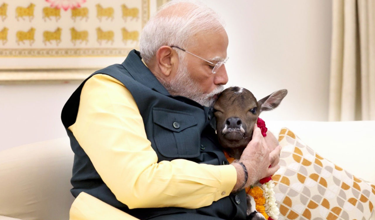 Meet ‘Deepjyoti’, the new member at PM Modi’s Lok Kalyan Marg residence!