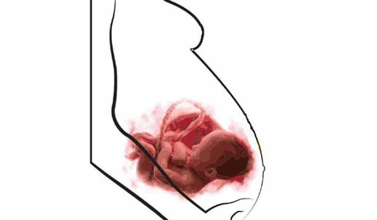 Odisha govt employees opting for surrogacy can avail of maternity, paternity leaves