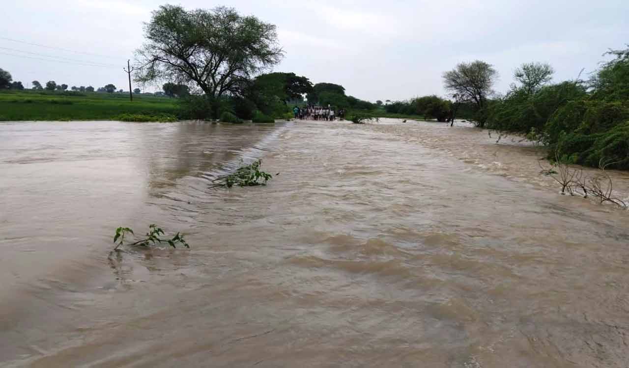 Parts of erstwhile Adilabad register moderate rains