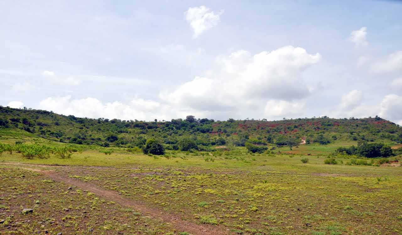 Land identified in Sangareddy for pharma hub includes fertile areas, say farmers