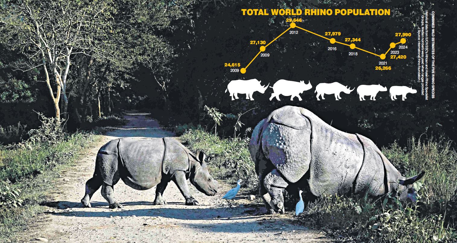 Rewind: Rendezvous with Rhinos