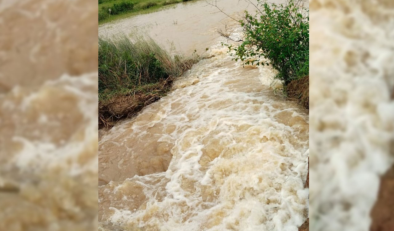 Sangareddy: Singur distributary canal suffers breach due to heavy rains