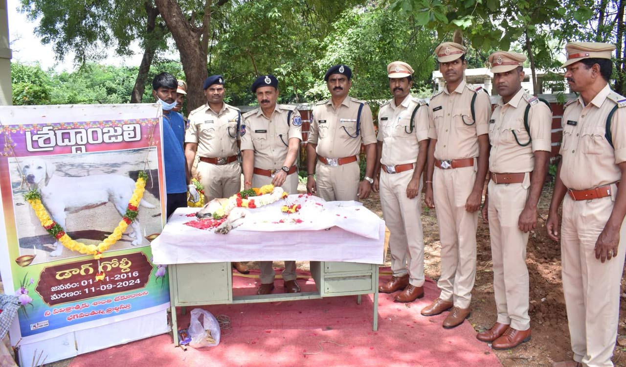 Nizamabad: Sniffer Dog Goldi laid to rest with police honour