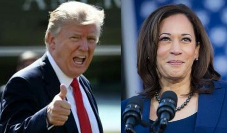 Trump Harris