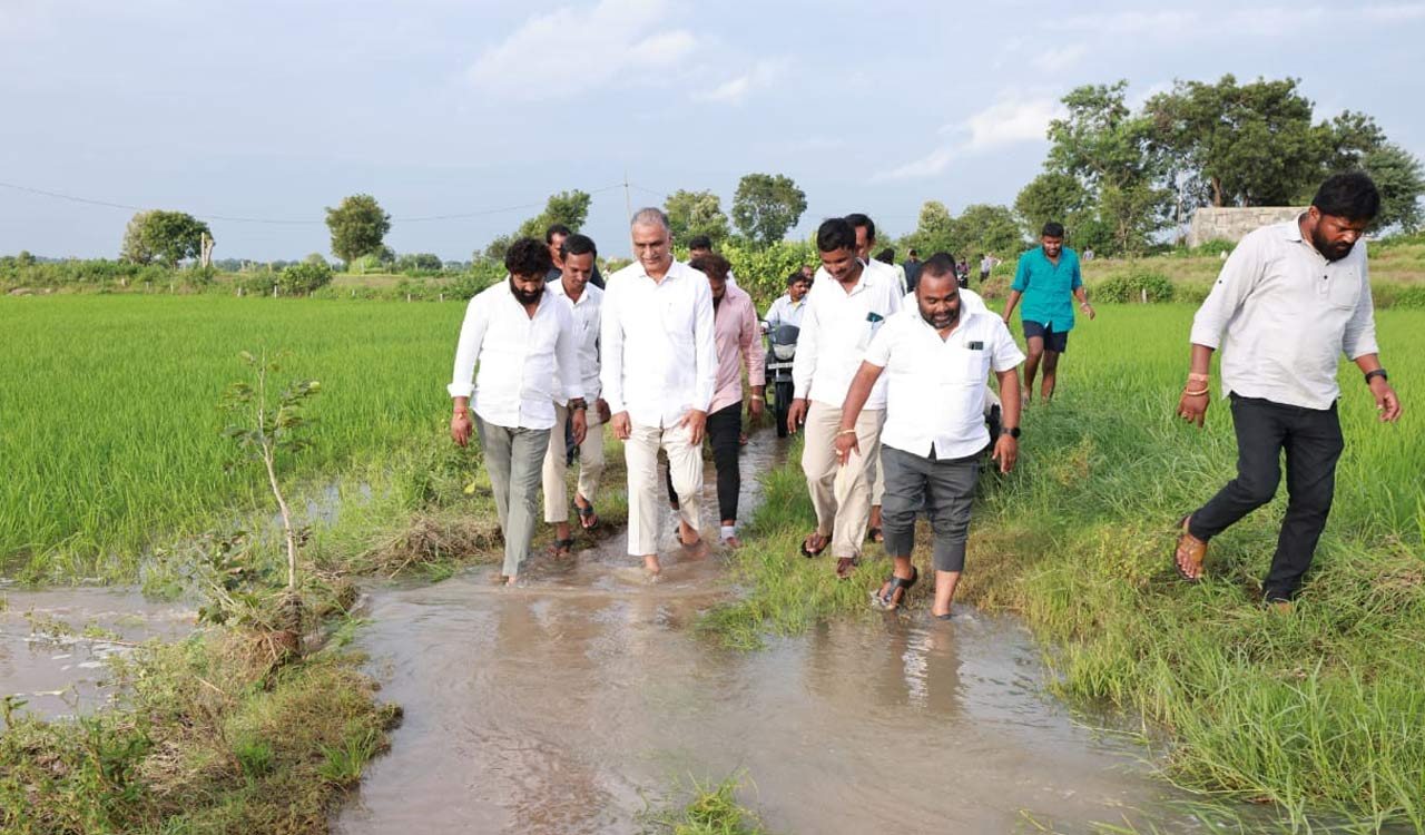Harish Rao demands Rs.30,000 per acre compensation for crop loss