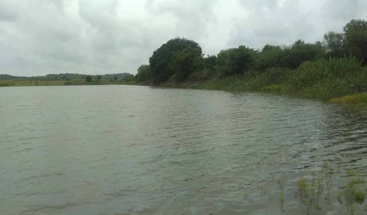 Sanagreddy: Proposed pharma hub in Nyalkal effluents will pollute river Manjeera