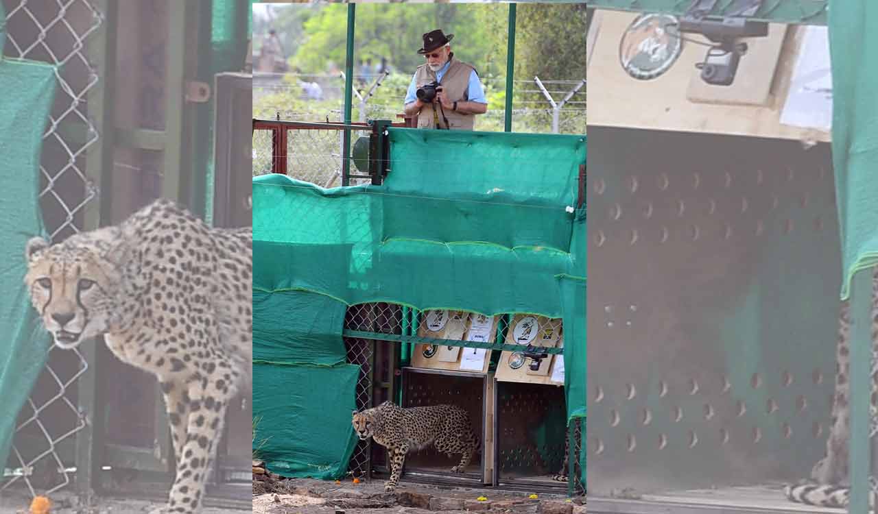 PM Modi turns 74 on September 17: Here is how he rang in his birthday over the years