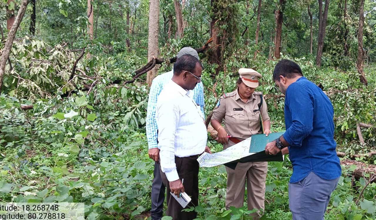 IMD, NRSC officials visit Mulugu forest to analyse reasons behind uprooting of trees