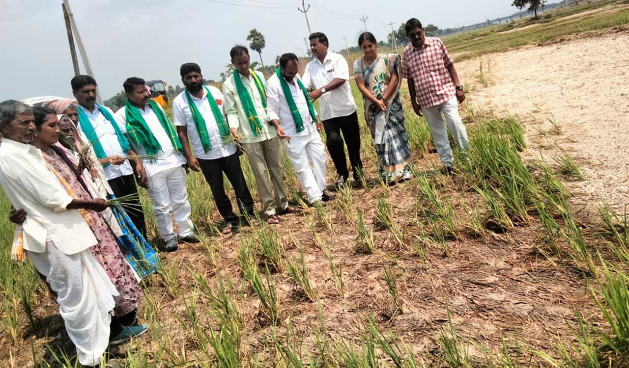 Sand deposits in farm fields put Khammam farmers in quandary