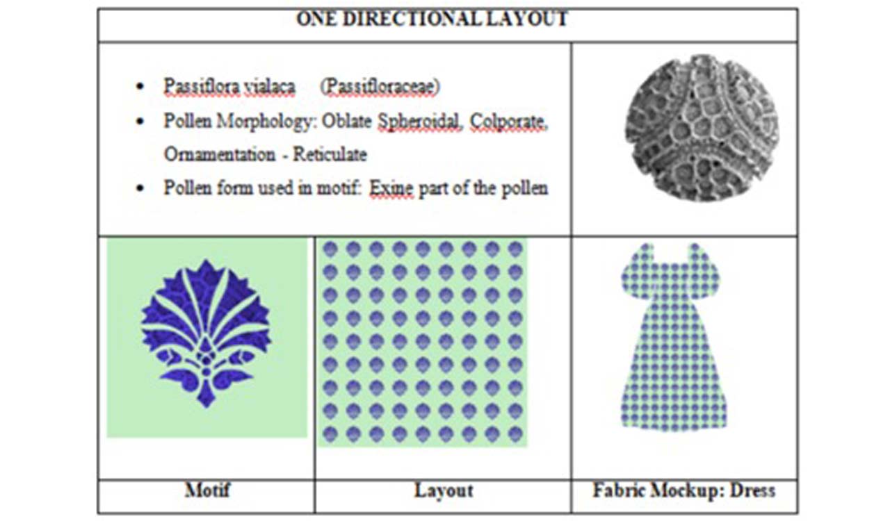Osmania University creates textile motifs using ‘pollen morphology’
