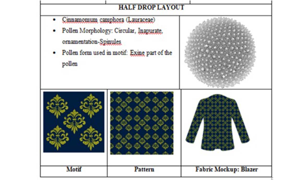 Osmania University creates textile motifs using ‘pollen morphology’