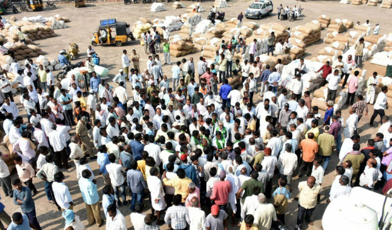 Cotton Farmers Protest