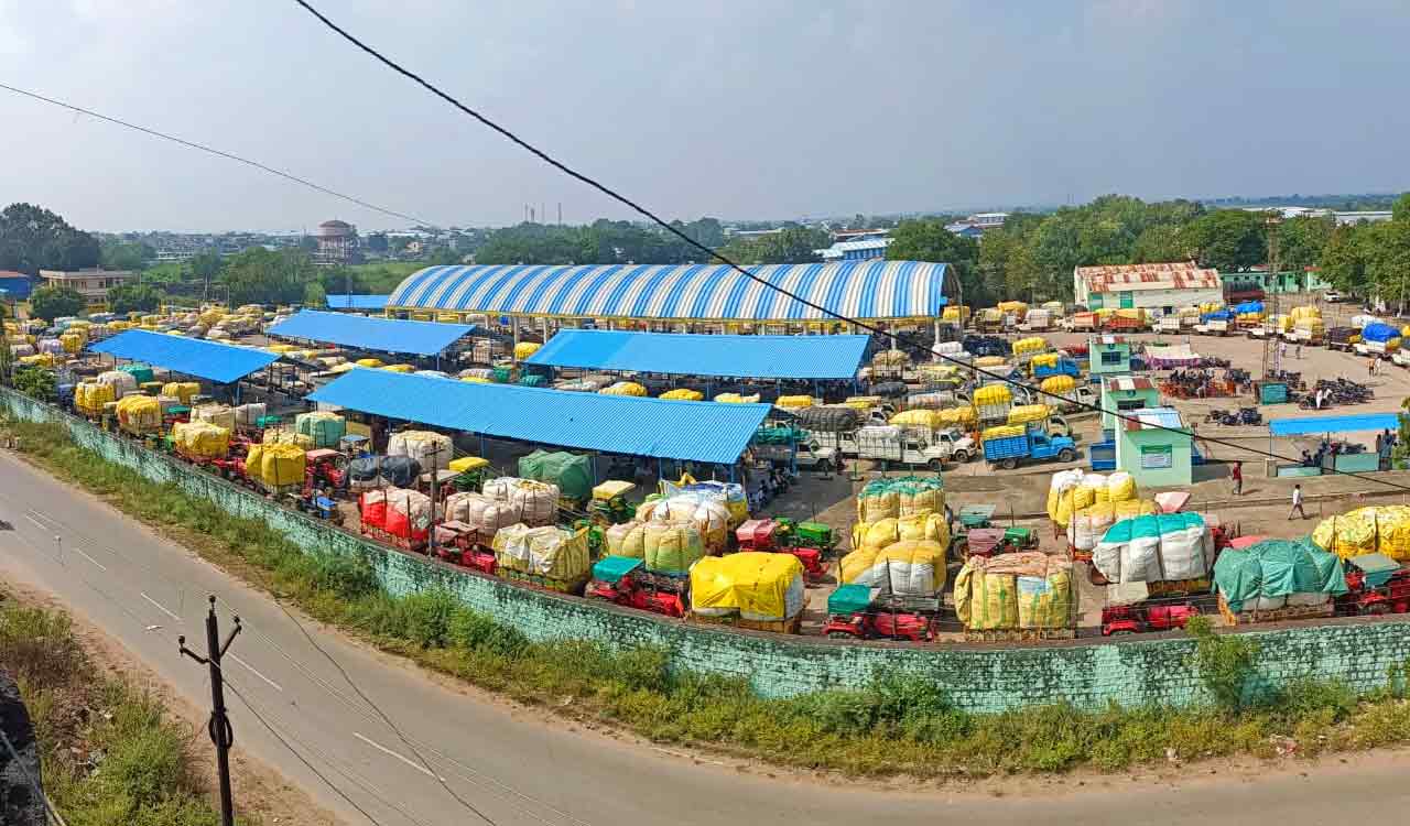Cotton procurement begins amidst protests in Adilabad