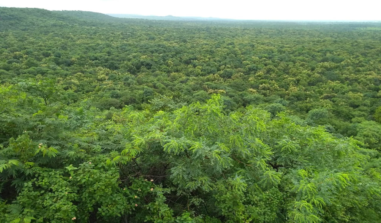 Indian Navy’s VLF Station: Protest gets stronger to protect Damagundam forest