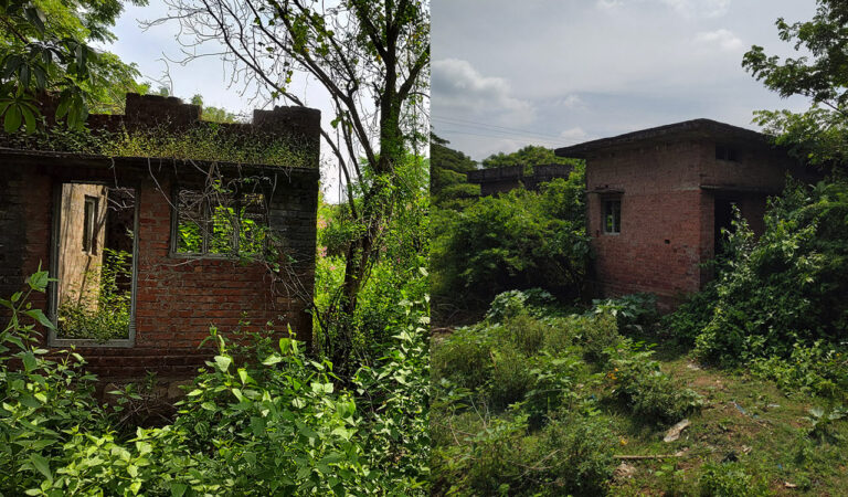 Indiramma Houses In Kothagu