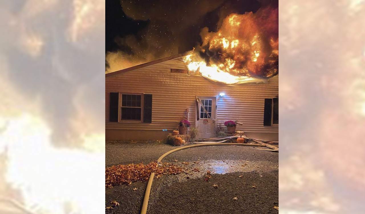 More than 40 dogs killed in fire at New York kennels