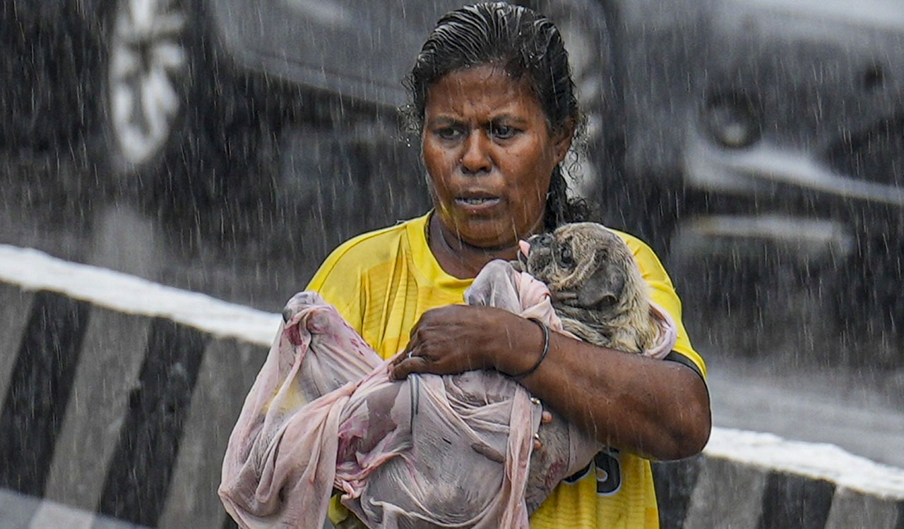 Rain ceases in Chennai, Stalin says waterlogging cleared in most places
