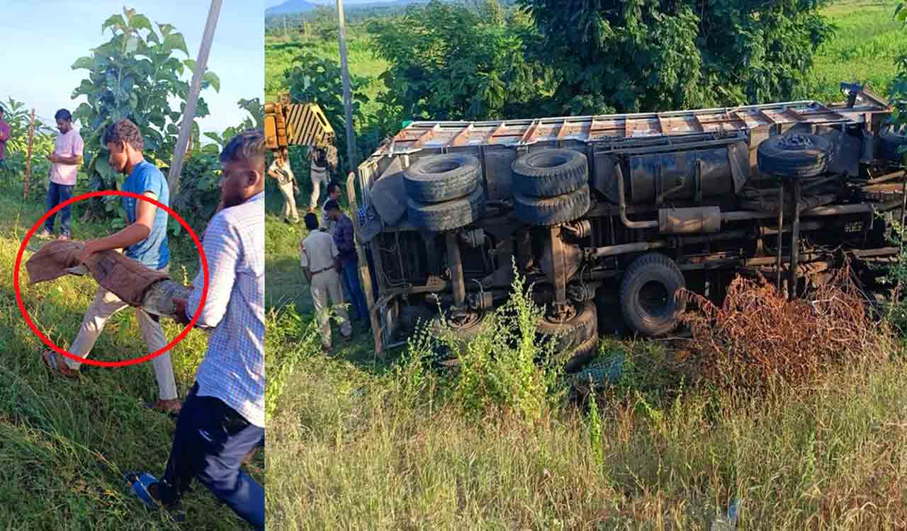 Telangana: Two crocodiles recaptured after truck overturns