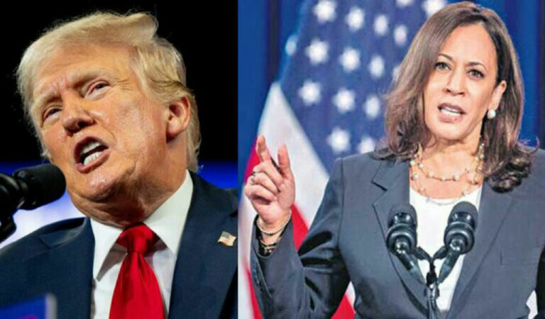 Trump Harris