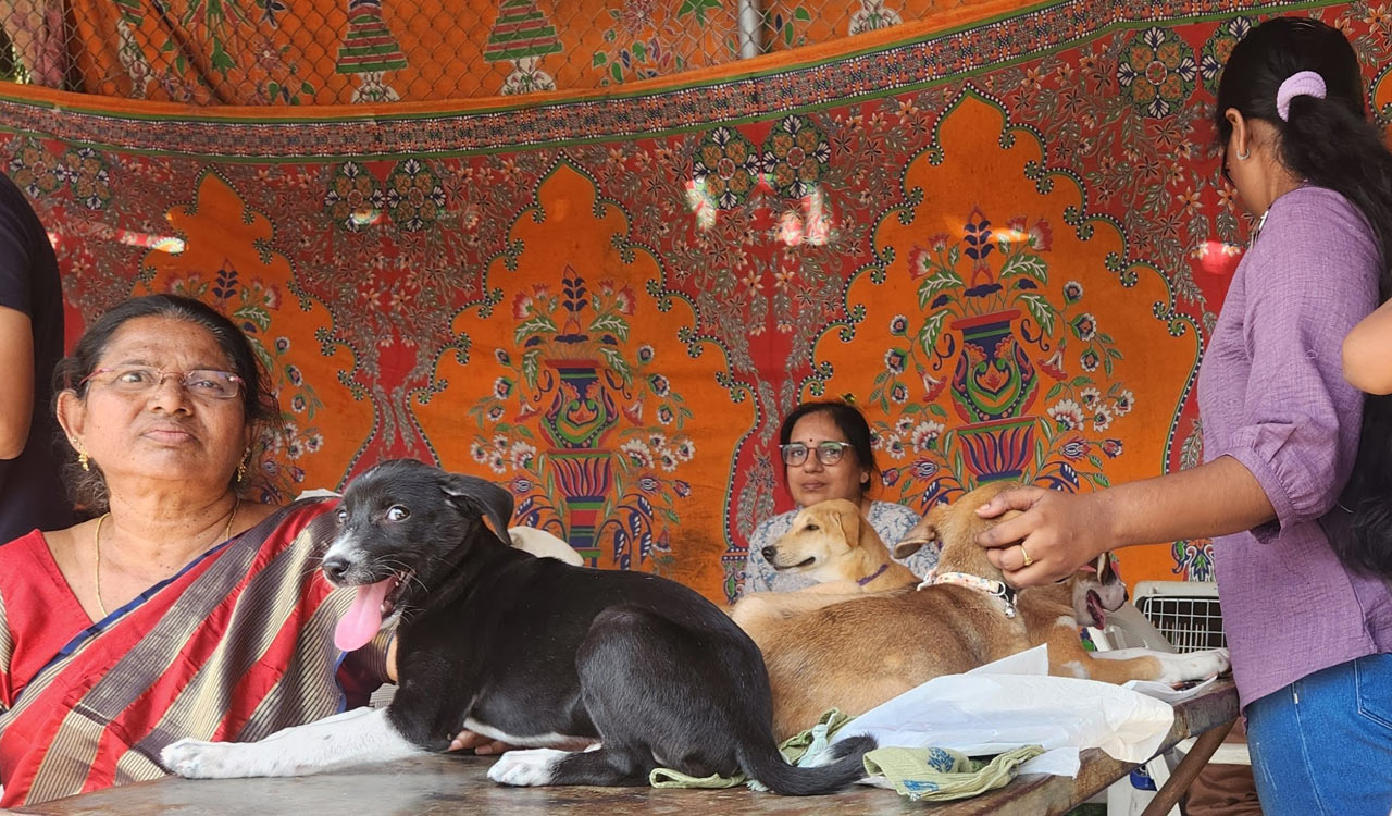 Pet adoption organisation hosts heartwarming drive for Indian dog breeds