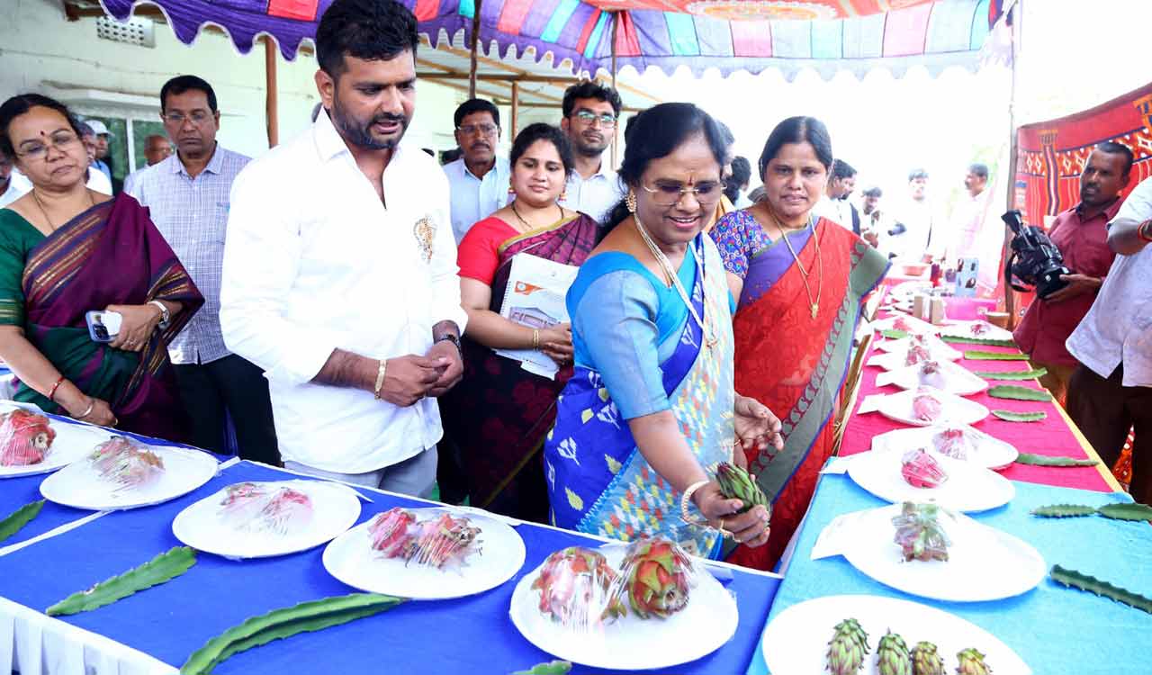 Innovative by-products showcased at ‘Dragon Fruit Festival’ in Sangareddy